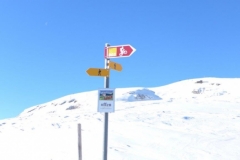 b_P1000636