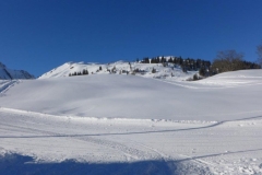 b_P1000681