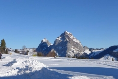 b_P1000682