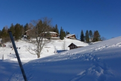 b_P1000692