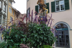 IMG_20211003_094212