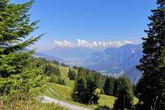 IMG-20230910-WA0002