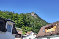 IMG_20230910_103615